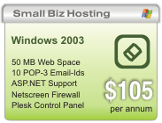 Windows Small Biz